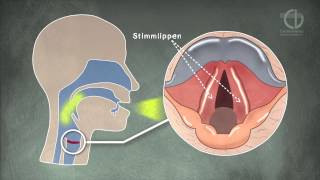 ChorVerband NRW Tutorial Stimmbildung Animation [upl. by Imis]