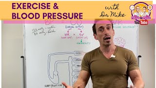 Exercise amp Blood Pressure [upl. by Naired74]