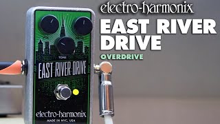 ElectroHarmonix East River Drive Overdrive Pedal Demo by JJ Tanis [upl. by Tayib]