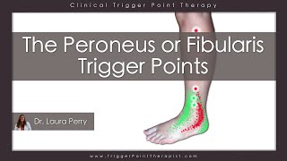 The Peroneus or Fibularis Trigger Points [upl. by Terese683]