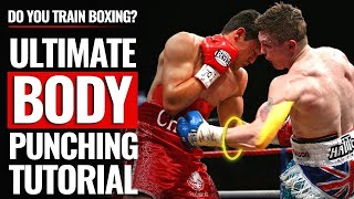 All Body Punches in Boxing Explained [upl. by Nai]