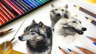 Beginning Colored Pencils Guide [upl. by Gaskin937]