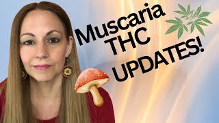 Amanita Muscaria And Cannabis Update [upl. by Steck]