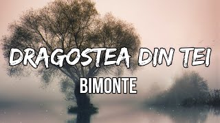 Bimonte  Dragostea Din Tei Lyrics [upl. by Afihtan967]