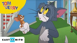 Tom și Jerry  Atacul puricilor  Cartoonito [upl. by Grenier]