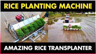 Rice Planting Machine  Paddy Transplanter Machine [upl. by Ariaic]