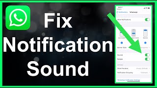 How To Fix WhatsApp Notification Sound EASY [upl. by Noillid]