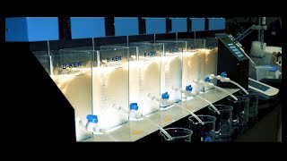 Jar Test Procedure for Water Treatment [upl. by Skerl]