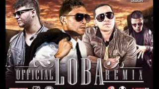 Carnal Ft J Alvarez Farruko Y Gotay  Loba Official Remix  Original [upl. by Nev]