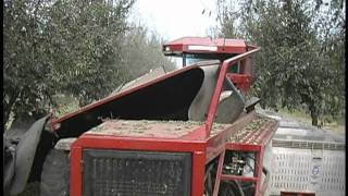 Schieler Harvester 988 Tree Crop Harvester [upl. by Luahs]