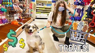 Buying My Sisters Dog Atlas Everything He Touches [upl. by Ogilvie]