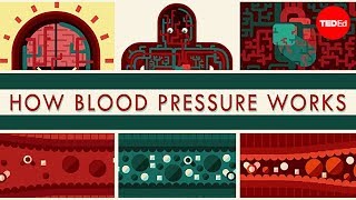 What Causes Hypertension Hypertension Clearly Explained 2020 [upl. by Kahl432]