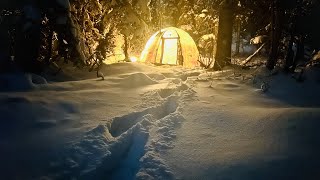 30 FREEZING COLD SOLO WINTER CAMPING [upl. by Kyred297]