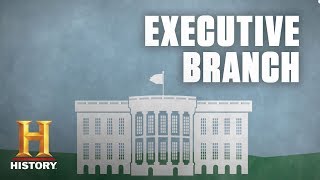 What Is the Executive Branch of the US Government  History [upl. by Welton219]