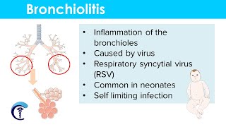 Bronchial Breath Sounds  Lung Sounds  Medzcool [upl. by Petulia]