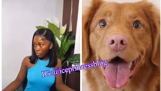 Lekki Girls And Dogs [upl. by Asilrak]