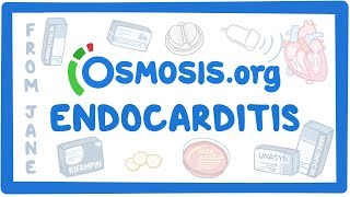 Clinicians Corner Endocarditis [upl. by Benenson]