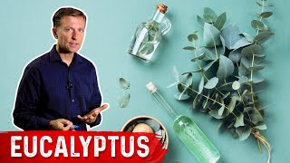 The Benefits of Eucalyptus [upl. by Aicirtap]