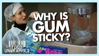 What Makes Chewing Gum Sticky  Food Unwrapped [upl. by Flatto]