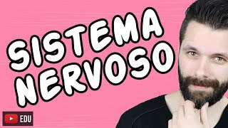 SISTEMA NERVOSO  FISIOLOGIA  Aula  Biologia com Samuel Cunha [upl. by Ardnuahsal361]