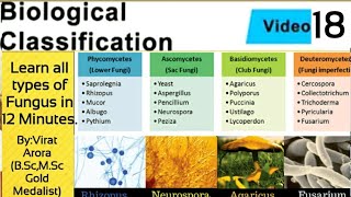 Types of fungus classification of fungiphycomycetesascomycetesbasidiomycetesdeuteromycetesNEET [upl. by Radman]