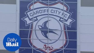 Tragic news Cardiff City Supporters Trust on player Emiliano Sala [upl. by Nide]