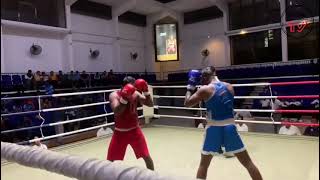 novices boxing tournament 2024boxing [upl. by God]