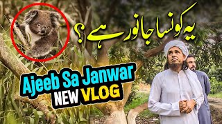 Mufti Tariq Masood Australia Zoo Vlog [upl. by Tootsie]