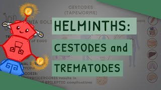 Helminths Cestodes and Trematodes transmission clinical importance and treatment [upl. by Ardnaid]