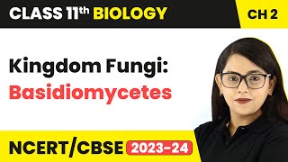 Kingdom Fungi Class  Basidiomycetes  Mushrooms  Class 11 Biology Chapter 2  NCERTCBSE [upl. by Athiste]