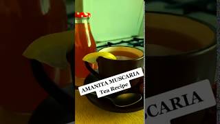 How to make Amanita Muscaria mushroom tea [upl. by Eyar]