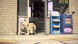 The 2013 Barkley Dog Family Subaru Commercial Compilation [upl. by Ahsercel]