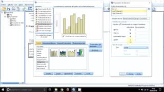 7 Pruebas de normalidad en SPSS KolmogorovSmirnov [upl. by Maker386]