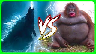 Godzilla vs Kong explained by an idiot [upl. by Deadman804]