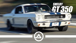 Loud Shelby GT350 Throws Down [upl. by Ardnovahs]