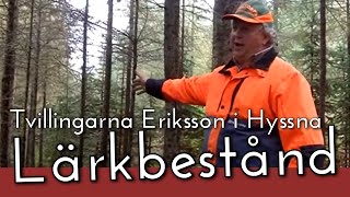 Tvillingarna Eriksson i Hyssna Lärkbestånd [upl. by Nevarc869]