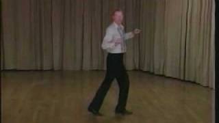 Learn to Dance the Polka  Ballroom Dancing [upl. by Aritak]