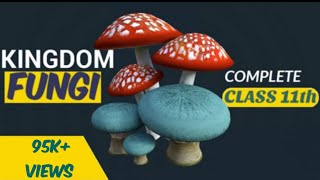 Fungi  Kingdom fungi class 11  Biological classification  Ncert  Be Educated [upl. by Acile]