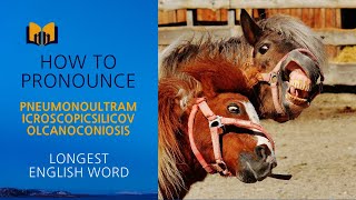 How to pronounce quotpneumonoultramicroscopicsilicovolcanoconiosisquot 😆 longest word in English [upl. by Valida196]