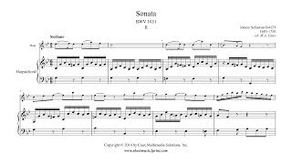 Bach  Siciliano from Sonata BWV 1031  Flute [upl. by Kruger]