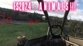 Finding ANIMALS in MSFS2024 [upl. by Ihcur349]