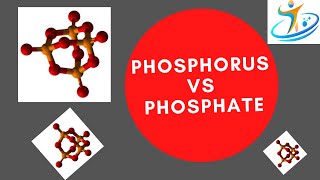 Phosphorus vs Phosphate [upl. by Aikemahs]