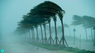 Sound Effects  Storm Winds Hurricane [upl. by Jean-Claude]