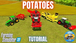 HOW TO GROW POTATOES  Farming Simulator 22 [upl. by Ewens]