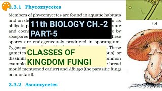 Class 11 BiologyCh2 Part5Classes of FungiStudy with Farru [upl. by Tessler]