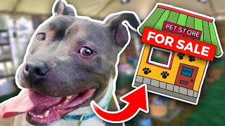 Buying a Homeless Dog an ENTIRE Pet Store  Challenge [upl. by Massingill]