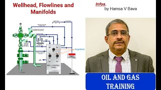 Wellhead Flowlines and Manifolds [upl. by Cherry]