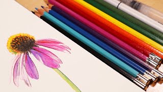 How to Use Watercolor Pencils  Flower Painting Tutorial [upl. by Collayer]