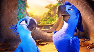 RIO 2 Clip  quotFootball Matchquot 2014 [upl. by Rabjohn]