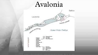 Avalonia [upl. by Epolenep]